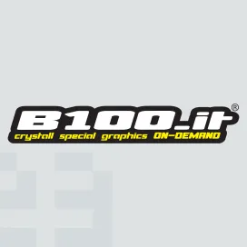 B100